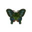 Papilio bianor - Animal Crossing : New Leaf (3DS) [ACNL]